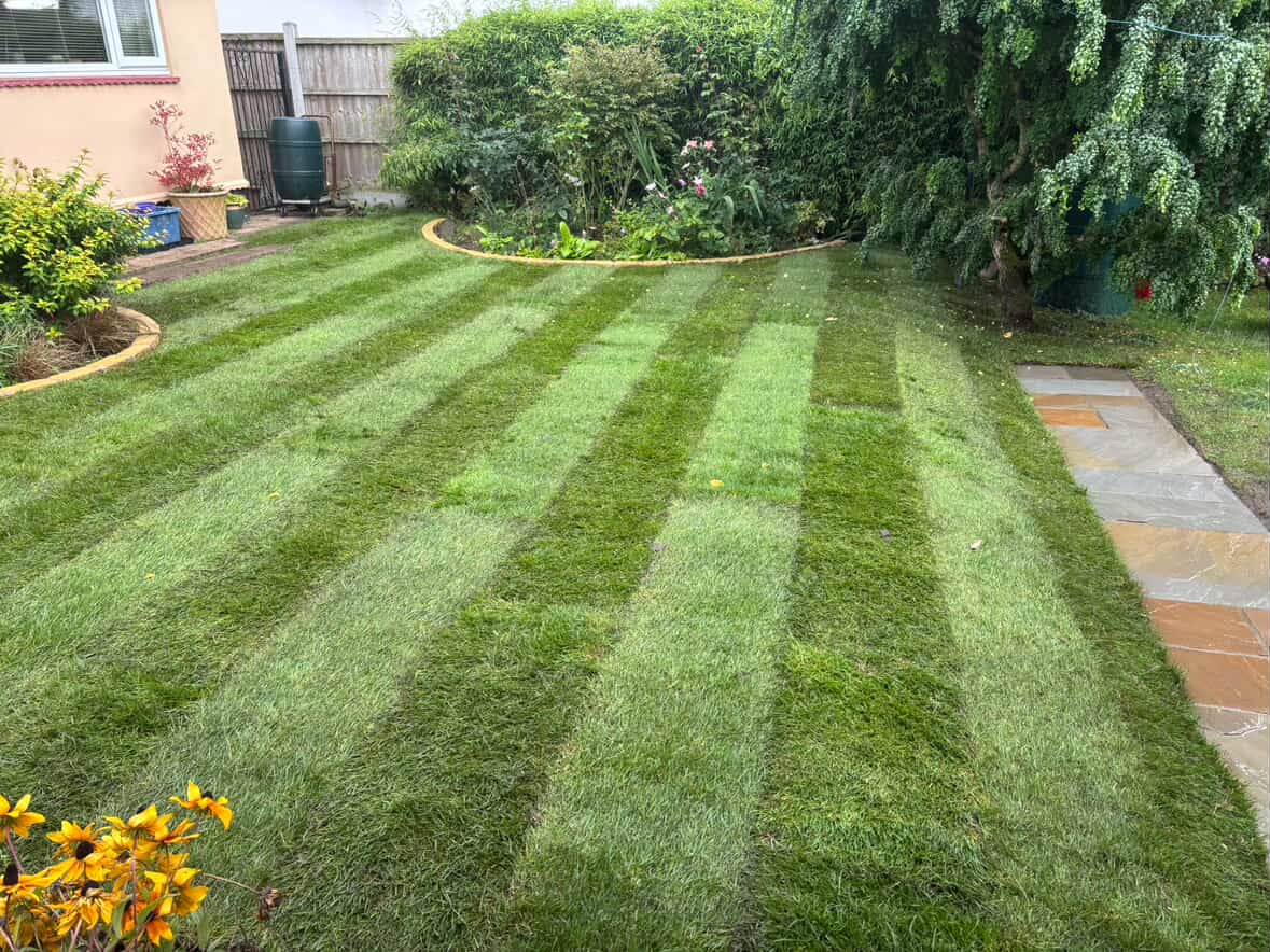 Striped Lawn & Sandstone Path