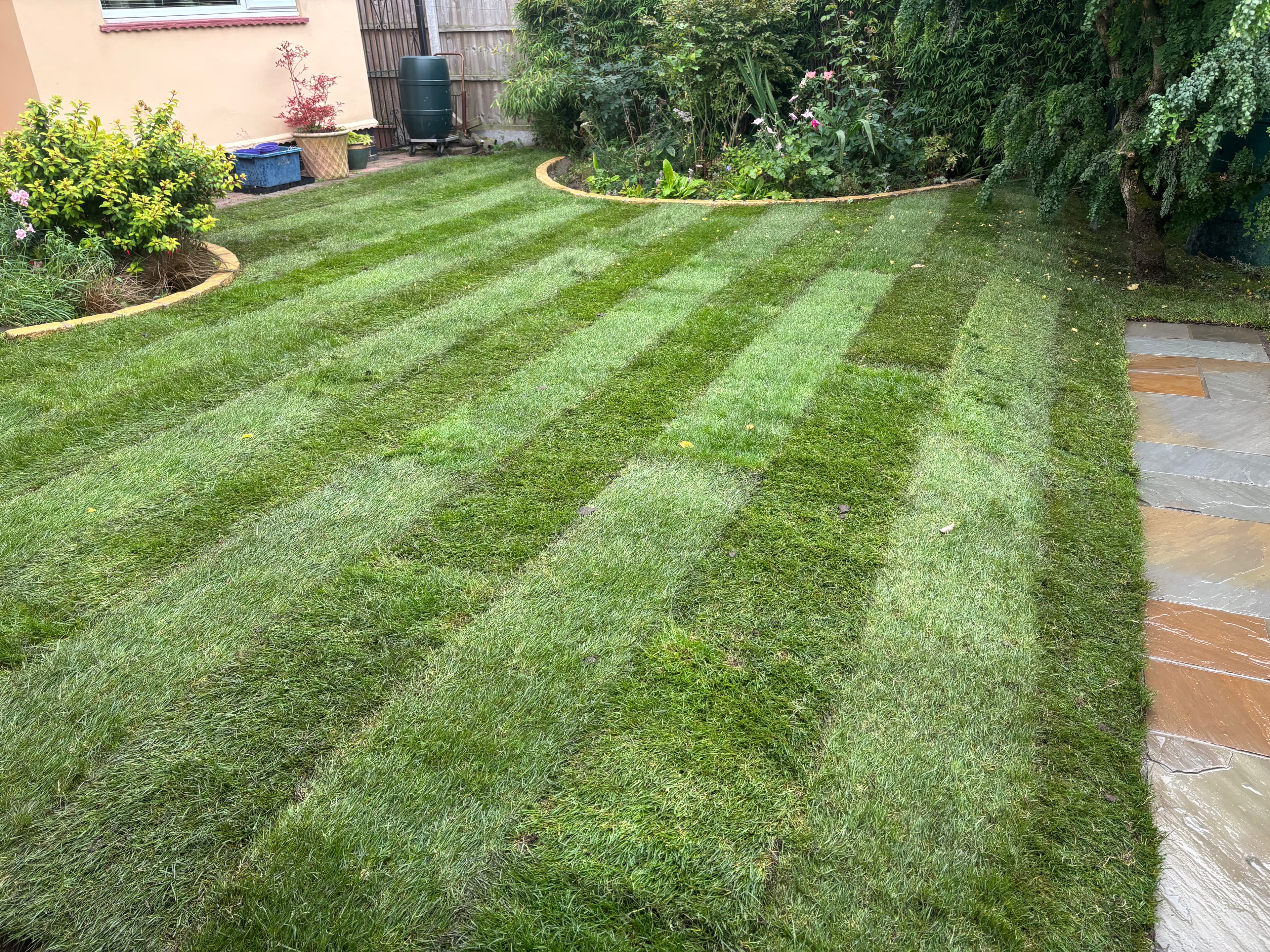 Full view of the garden after path, steps, turf and border installation